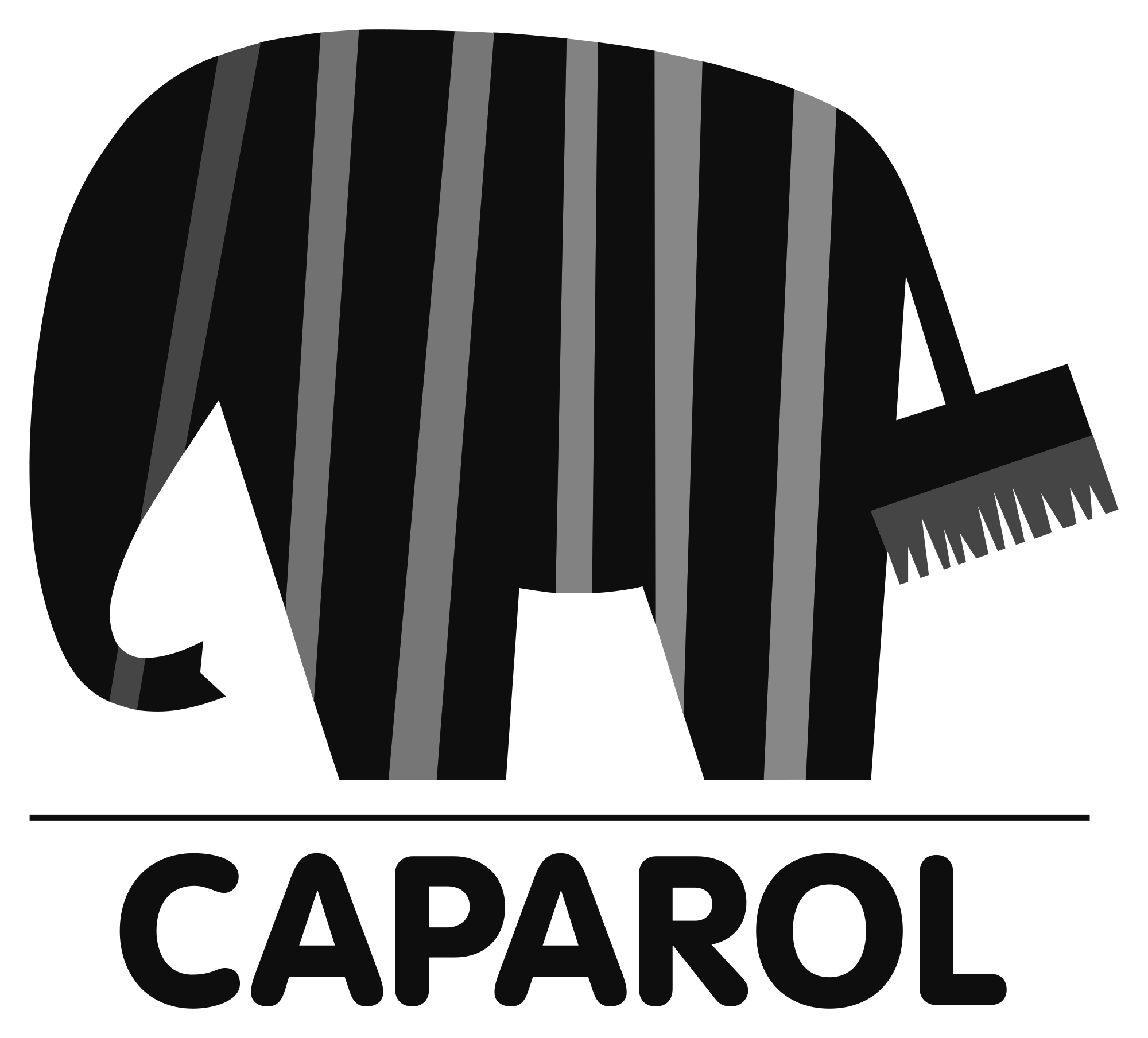 2000px-Caparol_logo